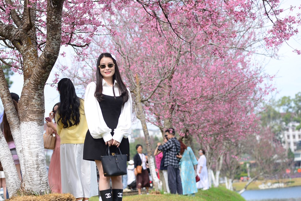 Những trụ cột kinh tế nào tạo động lực tăng trưởng 2 con số cho Lâm Đồng - ảnh 3