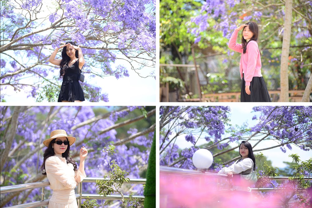 Phượng tím nở rộ, du lịch Đà Lạt thêm sức hút - ảnh 5