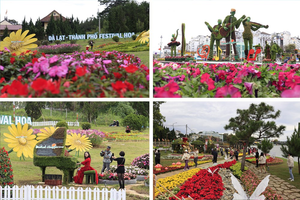 Festival Hoa Đà Lạt lần thứ 11: Bản giao hòa của sắc hoa và âm nhạc - ảnh 3