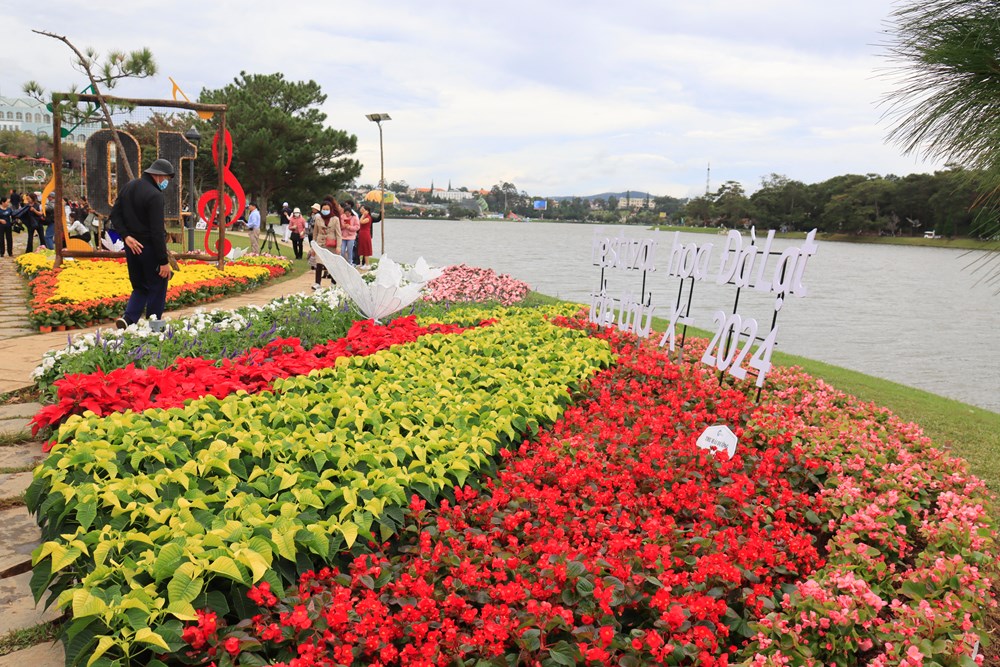 Festival Hoa Đà Lạt lần thứ 11: Bản giao hòa của sắc hoa và âm nhạc - ảnh 2