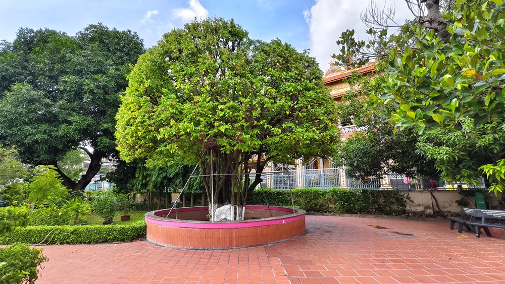 Kỳ 2 – “Địa chỉ đỏ” về nguồn thiêng liêng - ảnh 4