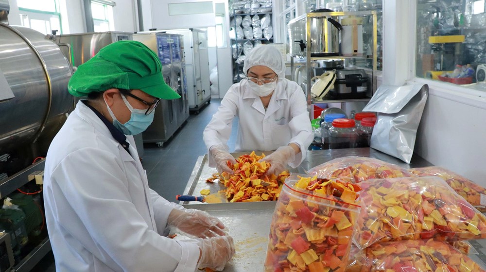 ESG và quản trị số: “Vé thông hành” để doanh nghiệp Lâm Đồng vươn ra toàn cầu - ảnh 5
