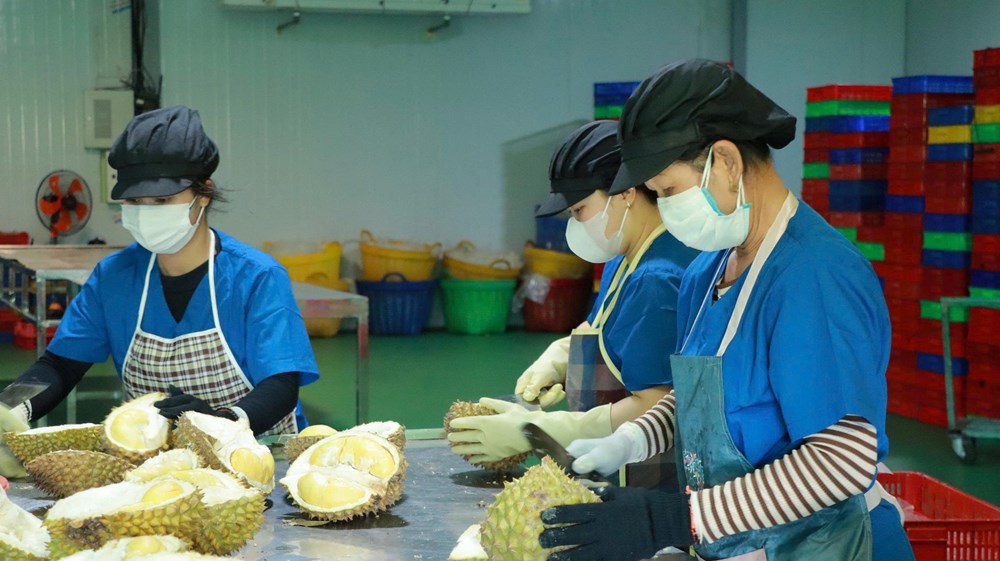 ESG và quản trị số: “Vé thông hành” để doanh nghiệp Lâm Đồng vươn ra toàn cầu - ảnh 6