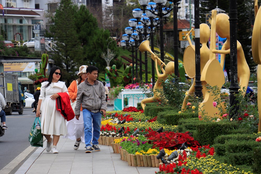 Lâm Đồng: Khẩn trương triển khai công tác chuẩn bị cho Festival Hoa Đà Lạt - ảnh 8