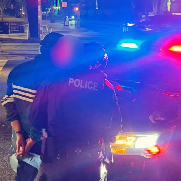 Bắt khẩn cấp nghịch tử sát hại bố mẹ là đạo diễn lừng danh thế giới - ảnh 2