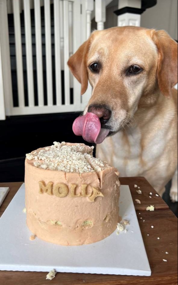 Khoảnh khắc nhớ mãi của Tăng Thanh Hà - ảnh 3