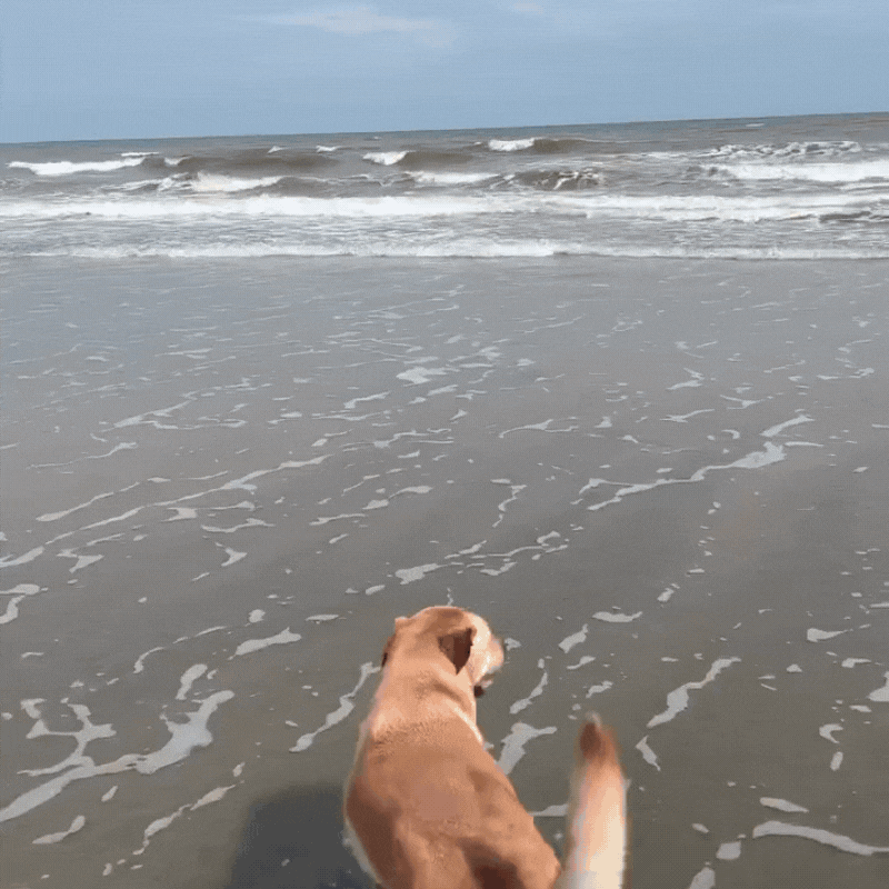 Khoảnh khắc nhớ mãi của Tăng Thanh Hà - ảnh 6