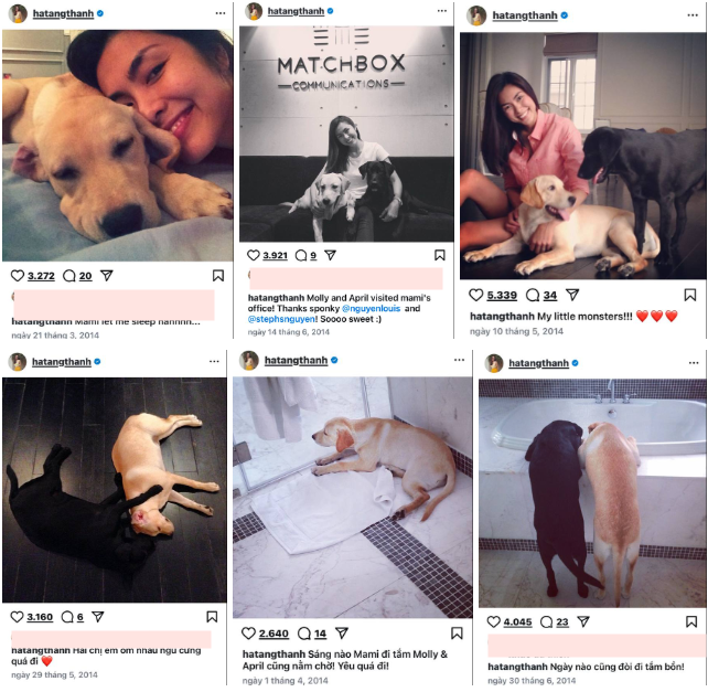 Khoảnh khắc nhớ mãi của Tăng Thanh Hà - ảnh 2