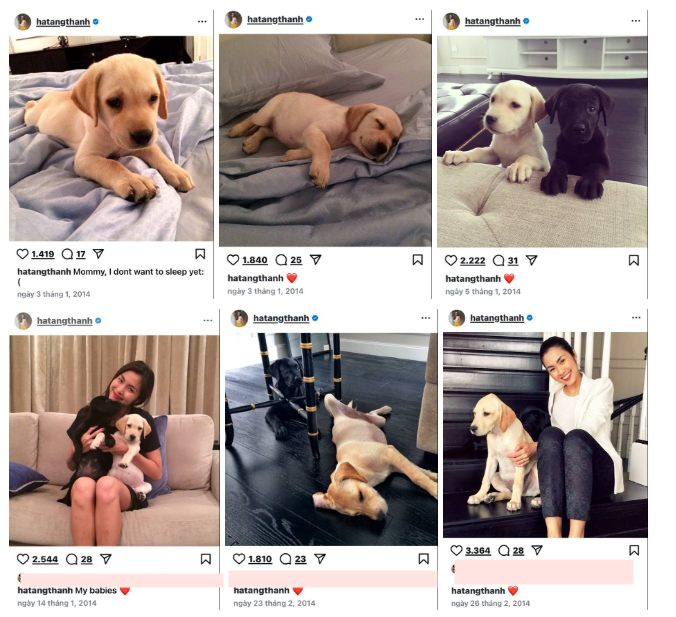 Khoảnh khắc nhớ mãi của Tăng Thanh Hà - ảnh 1