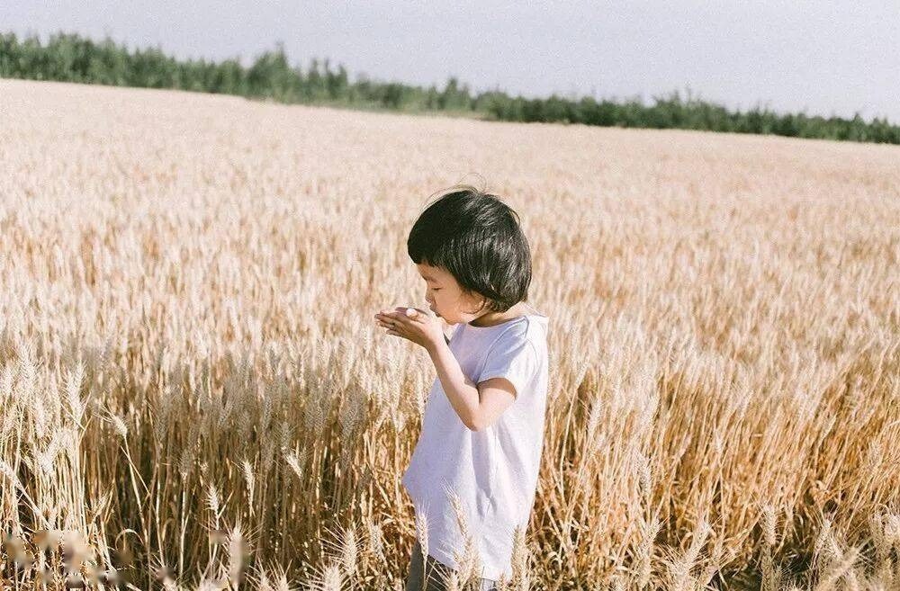 10 năm nữa, những đứa trẻ thành công nhất thường bước ra từ 7 kiểu gia đình này: Cha mẹ rất nên đọc - ảnh 1