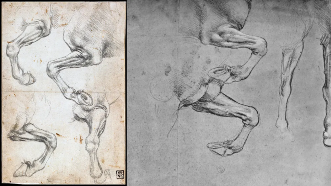 Phát hiện sốc về ADN của Leonardo da Vinci - ảnh 2