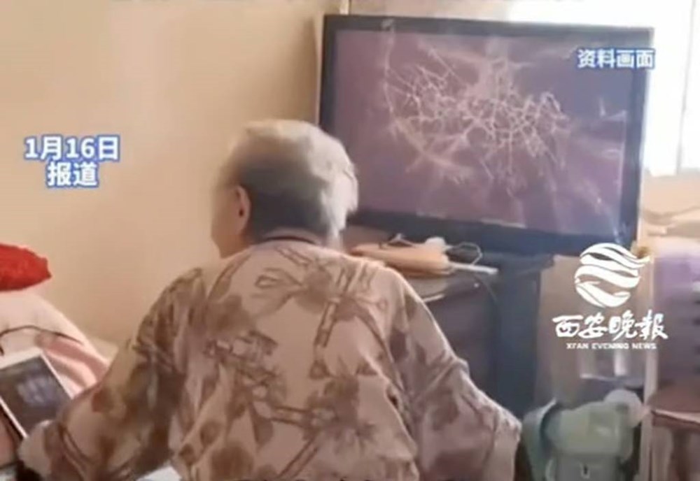 Cụ bà 91 tuổi đập vỡ tivi vì thấy nhân vật yêu thích trong phim bị bắt nạt - ảnh 2