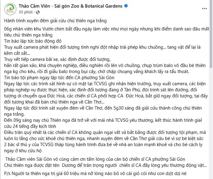 Toàn cảnh quá trình giải cứu thiên nga trắng 60 triệu bị nhét vào balo, “bắt cóc” khỏi Thảo Cầm Viên - ảnh 1