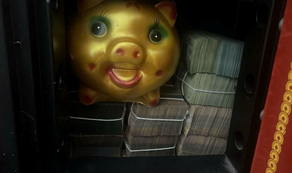 Bức ảnh két sắt của cặp vợ chồng lương 23 triệu khiến dân mạng “choáng”: Sao mà… - ảnh 1