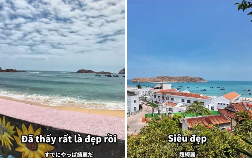 Người Nhật sở hữu 29.000km bờ biển nhưng vẫn nườm nượp sang Việt Nam tìm thứ quê nhà hiếm có - ảnh 4