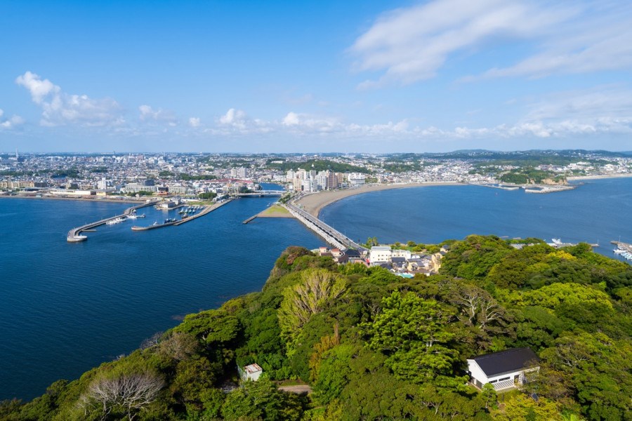 Người Nhật sở hữu 29.000km bờ biển nhưng vẫn nườm nượp sang Việt Nam tìm thứ quê nhà hiếm có - ảnh 1