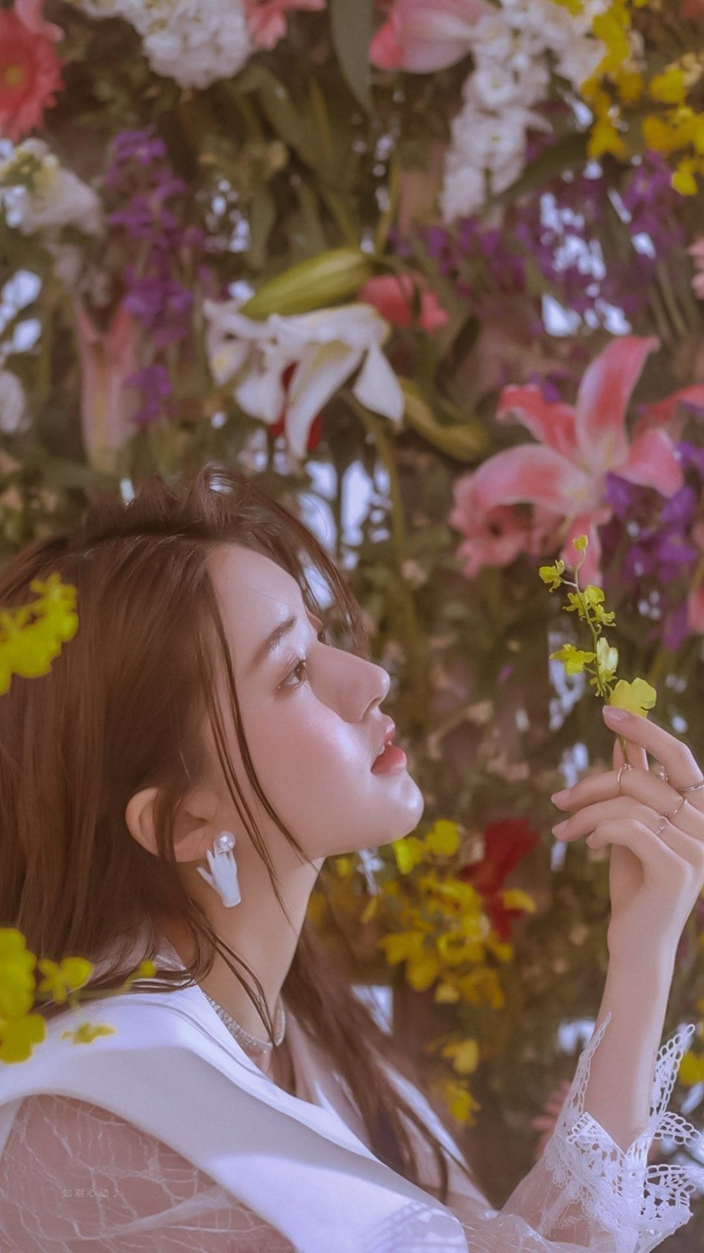 2 món giàu collagen như “kem chống nắng tự nhiên”, ăn đều còn hỗ trợ giảm cân - ảnh 1