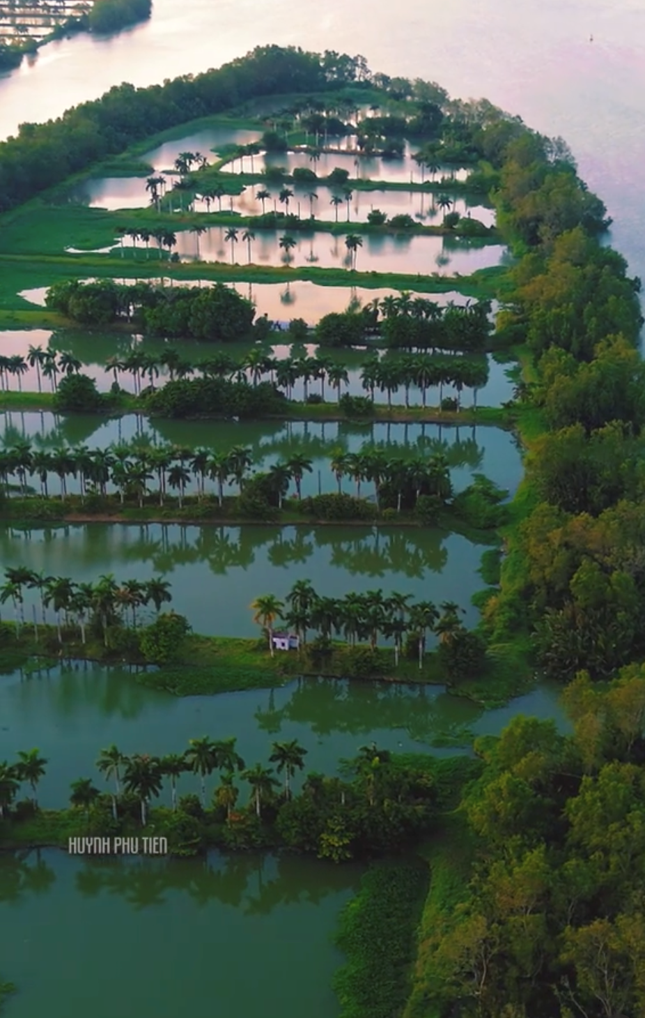 Sự thật về dải cù lao xanh mướt như đồ họa AI tại Cần Thơ - ảnh 3