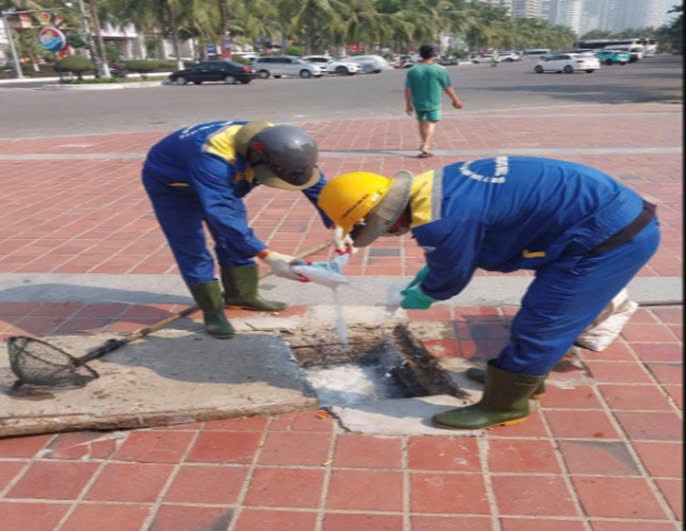 Đà Nẵng xác định nguyên nhân gây mùi hôi ven biển Mỹ Khê, yêu cầu xử lý dứt điểm trong tháng 5 - ảnh 2