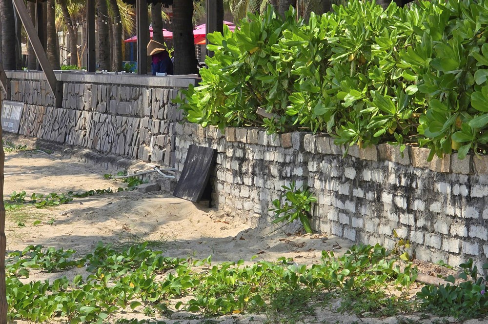 Xả thải gây mùi hôi ven biển, một resort ở Đà Nẵng bị phạt hơn 224 triệu đồng - ảnh 2