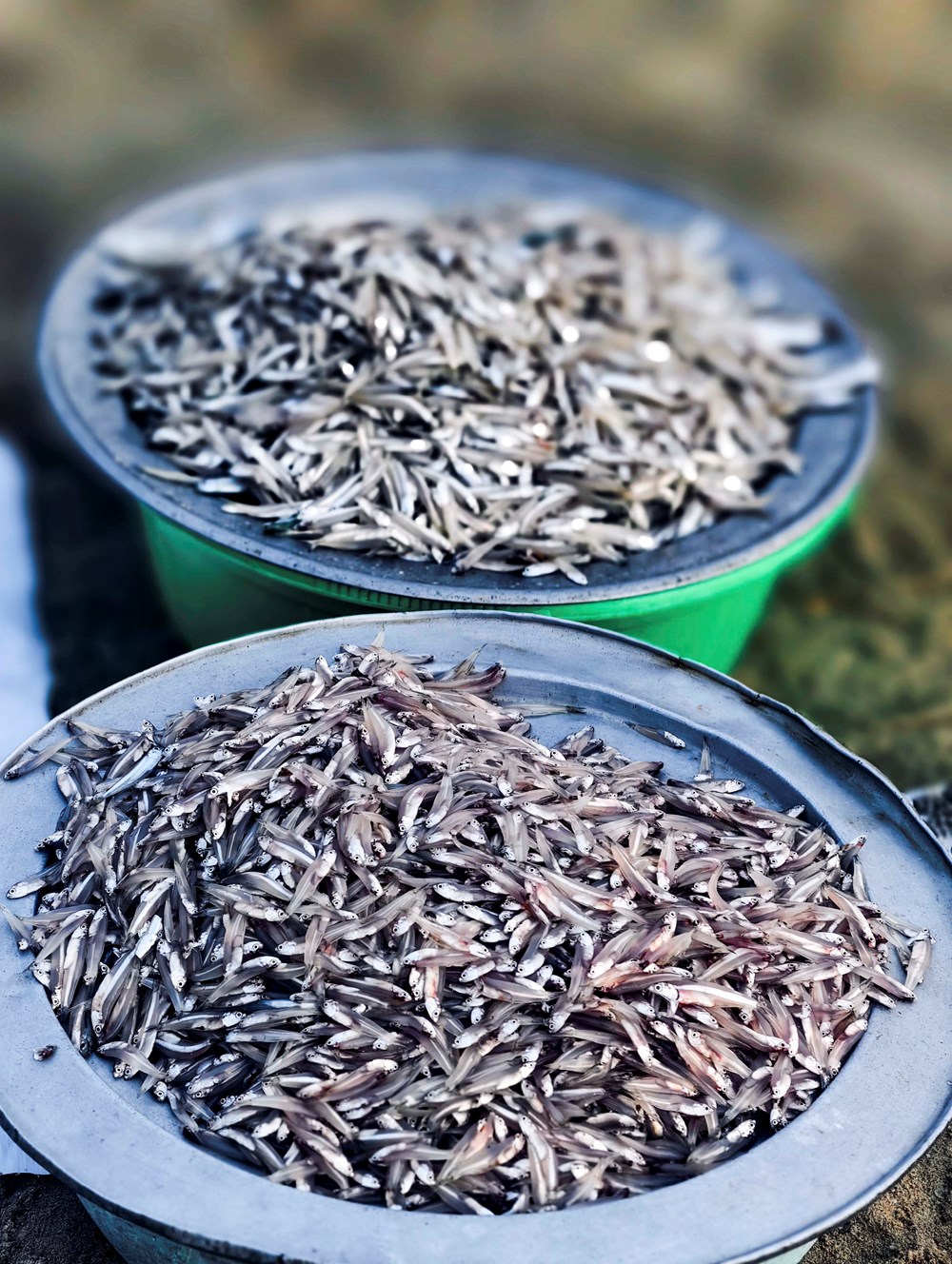Khám phá chợ hải sản lúc bình minh bên bờ biển Đà Nẵng - ảnh 6