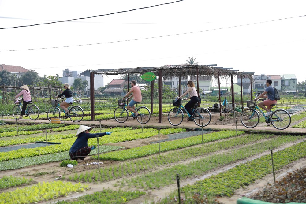 Đà Nẵng tung chương trình kích cầu du lịch hấp dẫn những tháng cuối năm 2025 - ảnh 4