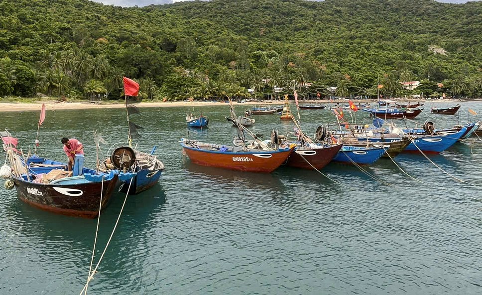 Hối hả ứng phó bão số 5 - ảnh 8