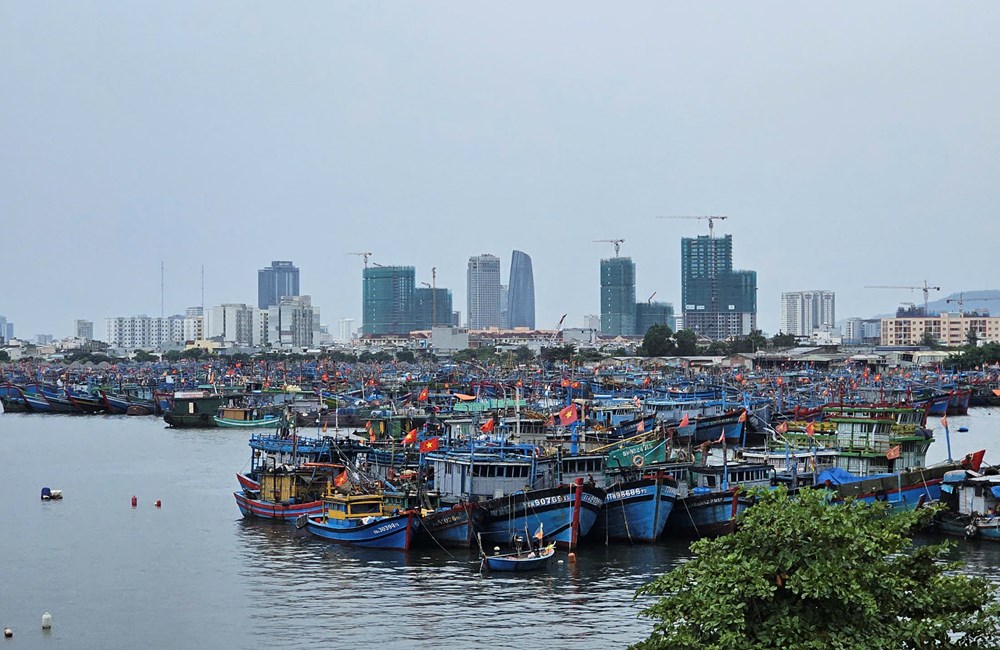 Hối hả ứng phó bão số 5 - ảnh 12