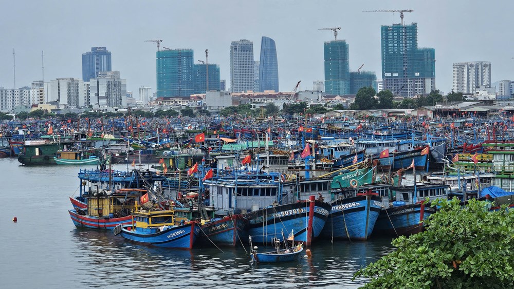 Đà Nẵng khẩn cấp ứng phó bão số 5, cấm biển từ 24.8 - ảnh 3