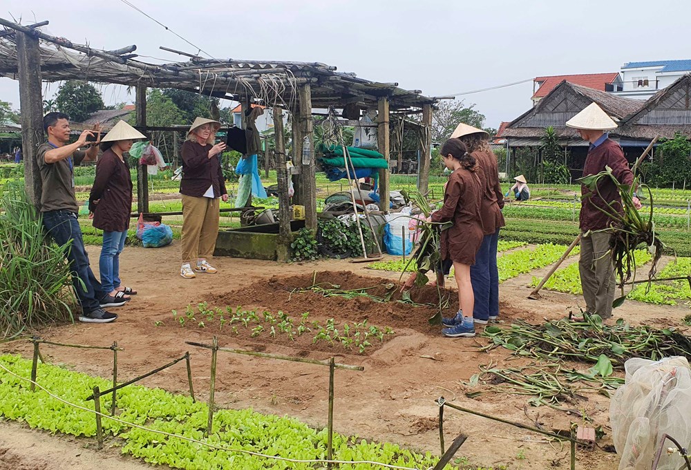 Du lịch Việt Nam siết chuẩn chứng nhận bền vững - ảnh 2