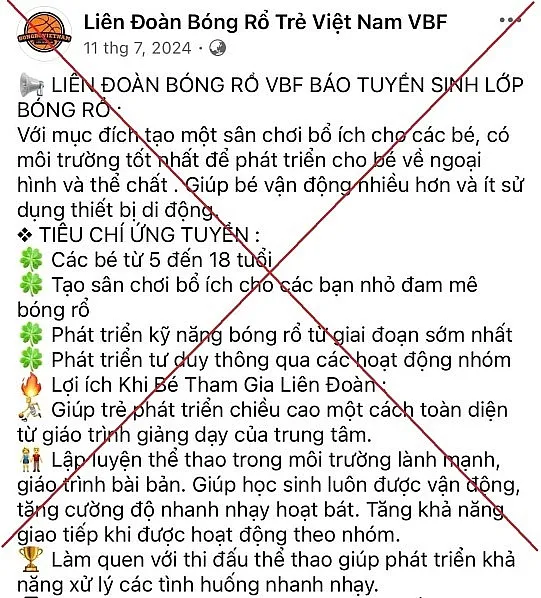 Cảnh báo thủ đoạn lừa đảo mạo danh “Liên đoàn bóng rổ Việt Nam” để chiếm đoạt tiền - ảnh 1