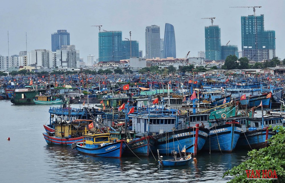 Đà Nẵng chủ động ứng phó bão số 10 - ảnh 3
