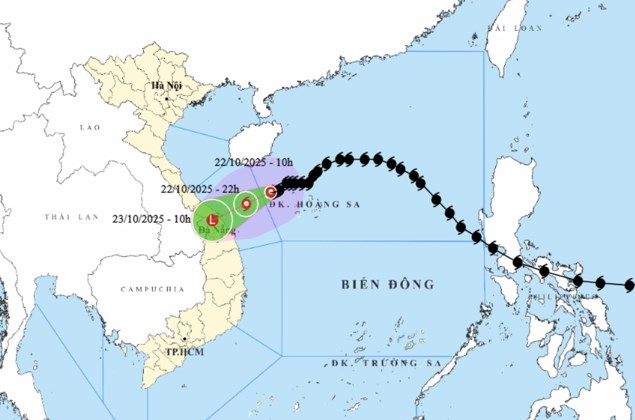 Ngành VHTTDL Đà Nẵng chủ động triển khai ứng phó bão số 12 - ảnh 3