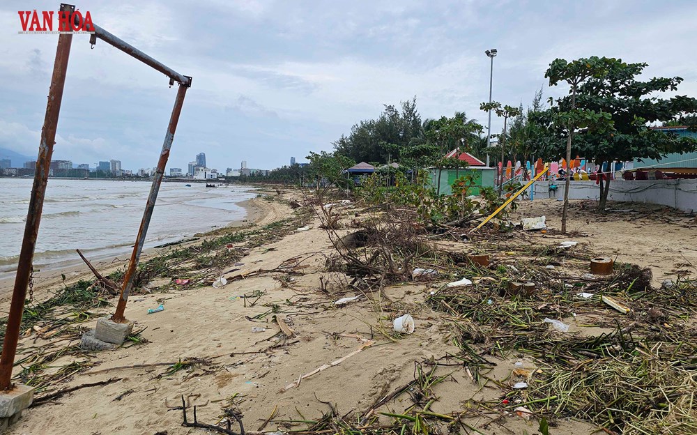 Bờ biển vịnh Đà Nẵng ngập rác sau mưa lũ - ảnh 5