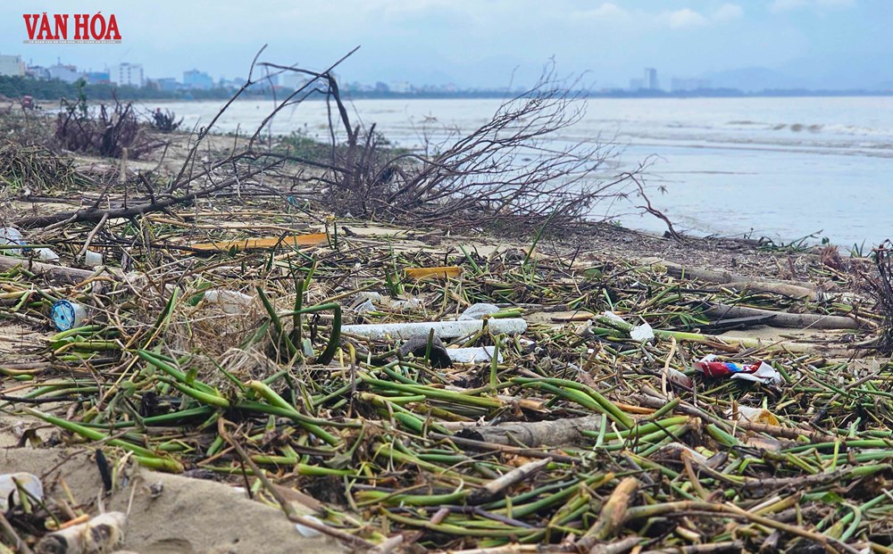 Bờ biển vịnh Đà Nẵng ngập rác sau mưa lũ - ảnh 4