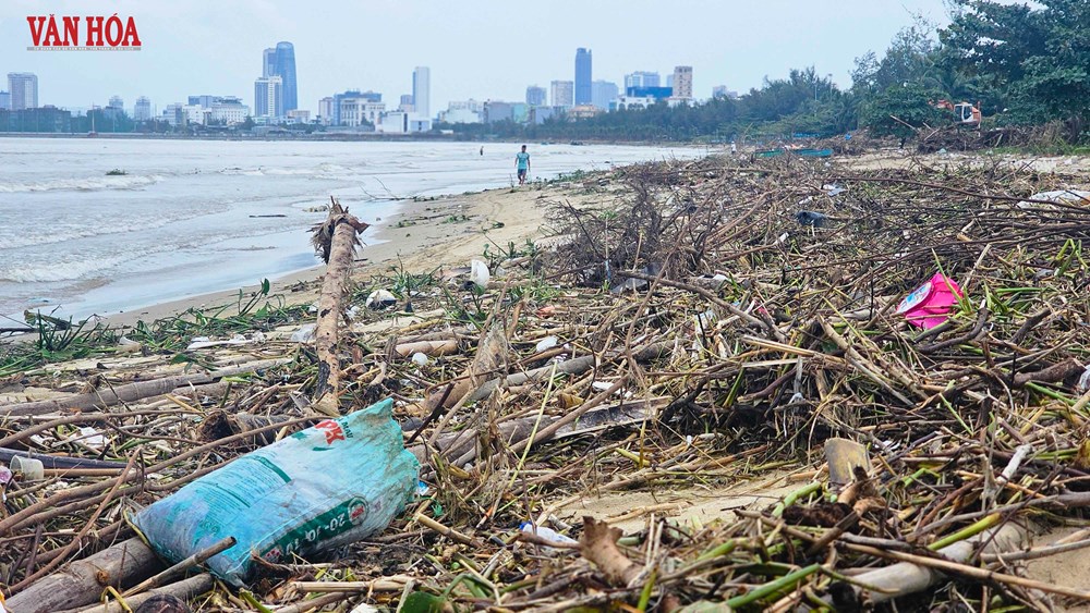 Bờ biển vịnh Đà Nẵng ngập rác sau mưa lũ - ảnh 3