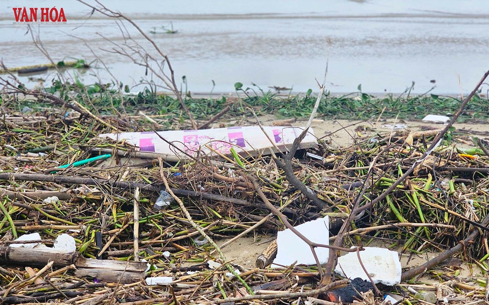 Bờ biển vịnh Đà Nẵng ngập rác sau mưa lũ - ảnh 2