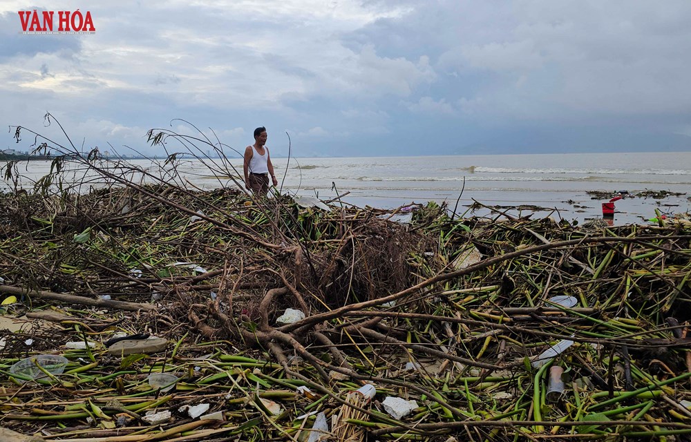 Bờ biển vịnh Đà Nẵng ngập rác sau mưa lũ - ảnh 6