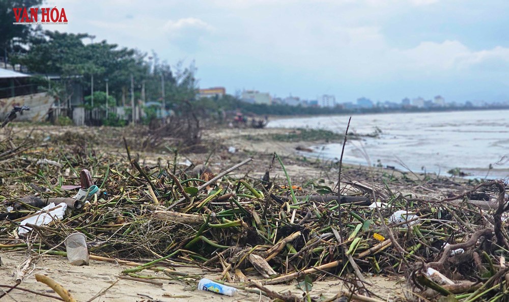 Bờ biển vịnh Đà Nẵng ngập rác sau mưa lũ - ảnh 1