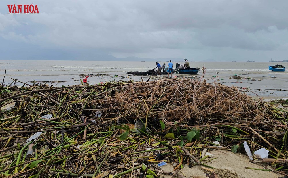 Bờ biển vịnh Đà Nẵng ngập rác sau mưa lũ - ảnh 9