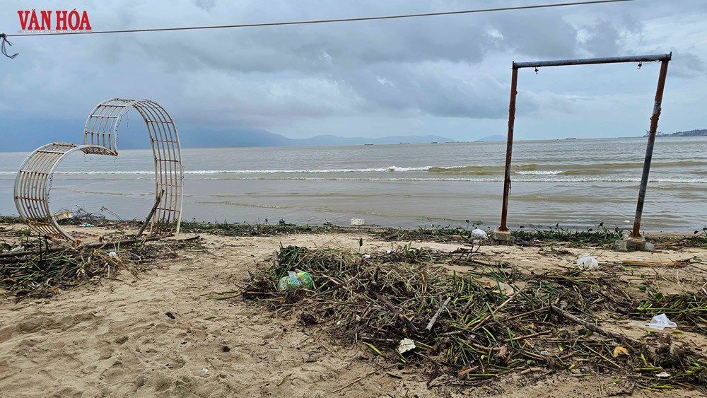 Bờ biển vịnh Đà Nẵng ngập rác sau mưa lũ - ảnh 10