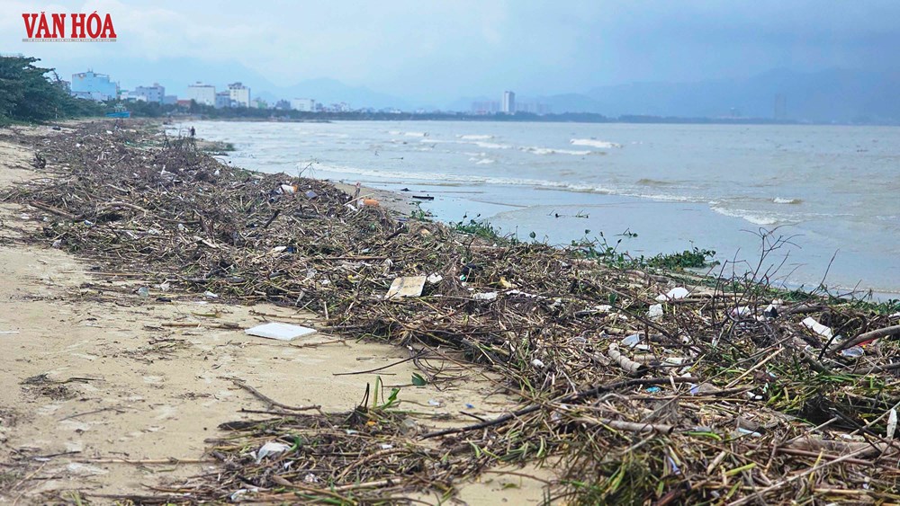 Bờ biển vịnh Đà Nẵng ngập rác sau mưa lũ - ảnh 8