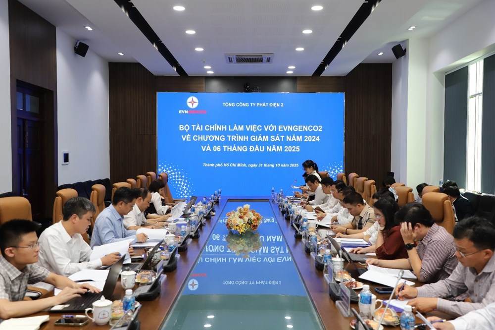Bộ Tài chính làm việc với EVNGENCO2 về Chương trình giám sát tài chính năm 2024 và 6 tháng đầu năm 2025 - ảnh 1