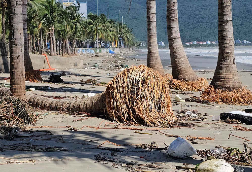 Khẩn trương dọn dẹp bãi biển sau bão số 13, sớm trả lại môi trường du lịch sạch đẹp - ảnh 9