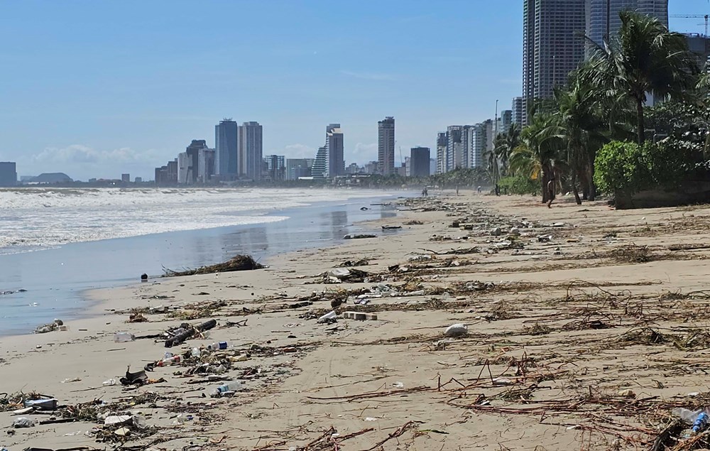 Khẩn trương dọn dẹp bãi biển sau bão số 13, sớm trả lại môi trường du lịch sạch đẹp - ảnh 5