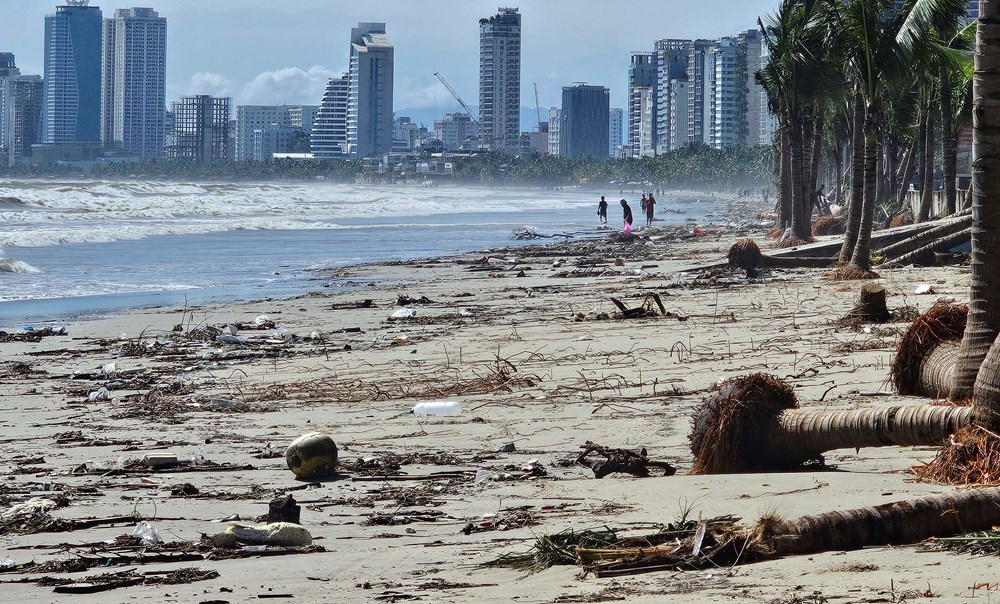 Khẩn trương dọn dẹp bãi biển sau bão số 13, sớm trả lại môi trường du lịch sạch đẹp - ảnh 3