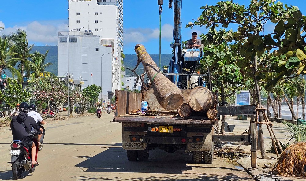 Khẩn trương dọn dẹp bãi biển sau bão số 13, sớm trả lại môi trường du lịch sạch đẹp - ảnh 13