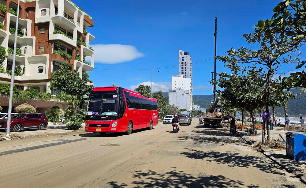 Khẩn trương dọn dẹp bãi biển sau bão số 13, sớm trả lại môi trường du lịch sạch đẹp - ảnh 7