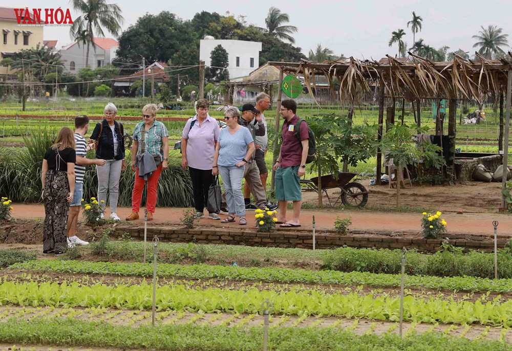 Đà Nẵng hướng đến top đầu điểm đến châu Á - ảnh 2