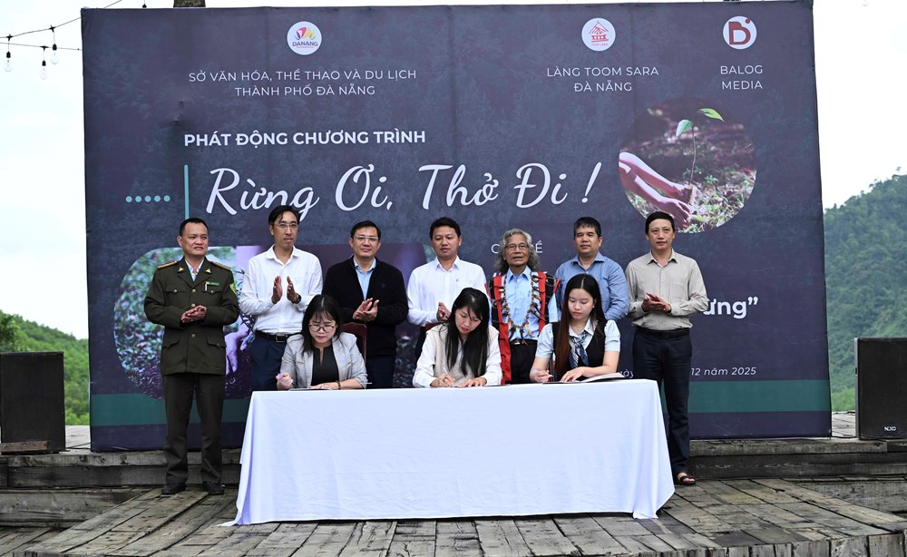 Chung tay trồng rừng bản địa gắn với du lịch sinh thái tại Đà Nẵng - ảnh 3